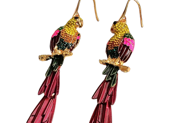 Fashion Statement Earrings