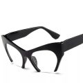 Retro Cat Eye Glasses for Women